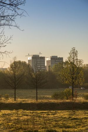 Sonnenaufgang in Marzahn